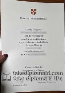 cambridge university doctoral thesis