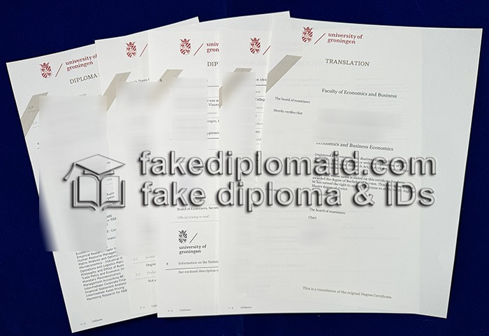 University of Groningen Diploma Supplement