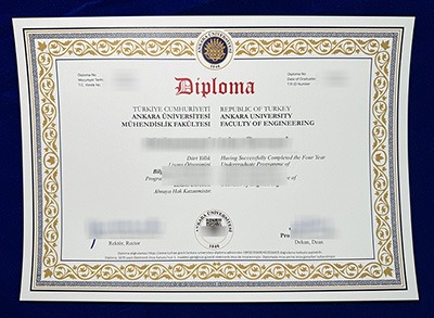 Ankara University Diploma