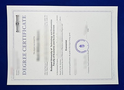BME Degree Certificate