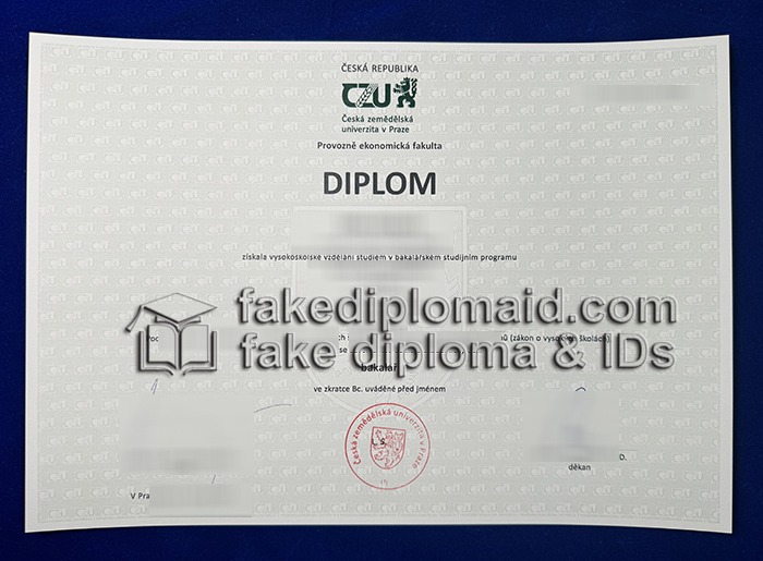 CZU Diploma