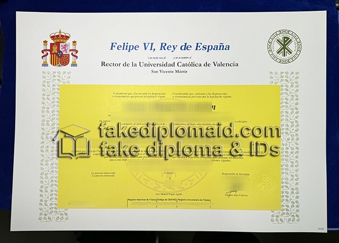 Universidad Católica de Valencia San Vicente Mártir Diploma